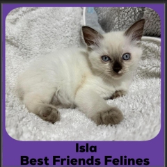 2024-Isla