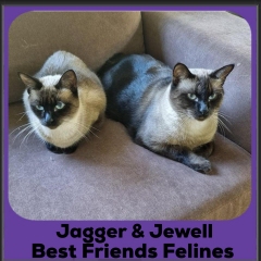 2024-Jagger-Jewell