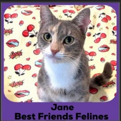2024-Jane