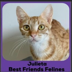 2024-Julieta