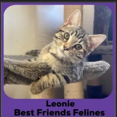 2024-Leonie