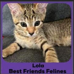 2024-Lola