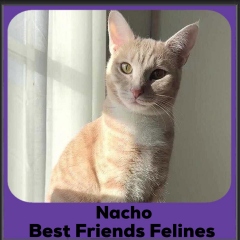 2024-Nacho2