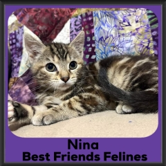 2024-Nina