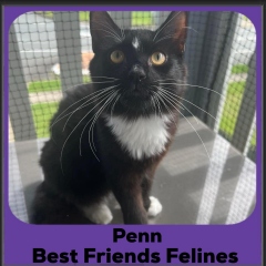 2024-Penn2