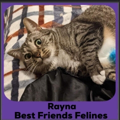 2024-Rayna