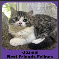 2025-Jazmin