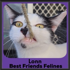 2_2023-Lonn