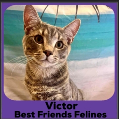 2_2023-Victor