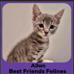 Allan