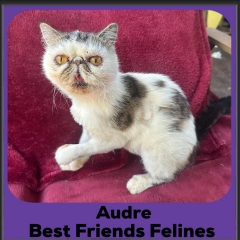 Audre