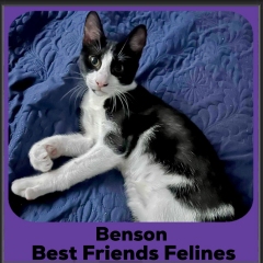 Benson-2026