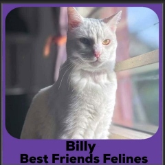 Billy-2026