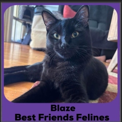 Blaze