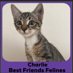 Charlie