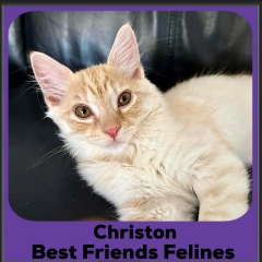 Christon