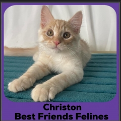 Christon2