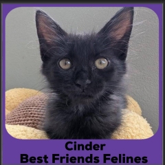 Cinder