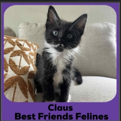 Claus-2025