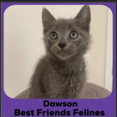 Dawson