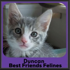 Duncan-2026