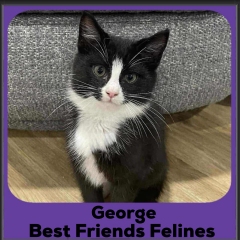 George
