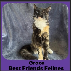Grace-2025