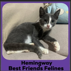Hemingway
