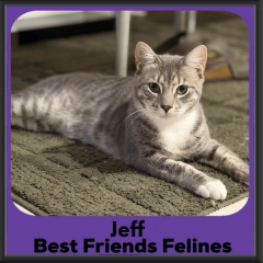 Jeff-2026
