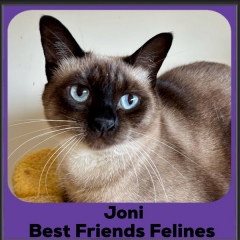 Joni