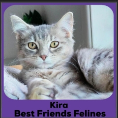 Kira-2026