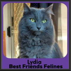 Lydia-2026