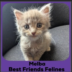 Melba-2025