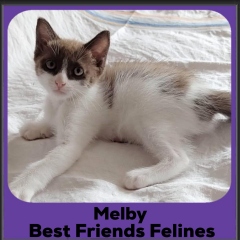 Melby-2026