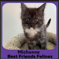 Michonne-2026