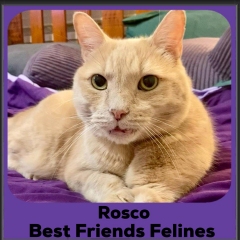 Rosco