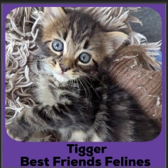 Tigger