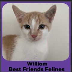 William